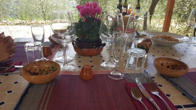 From Florence: PRIVATE Wine Experience in Chianti Classico - Important Information