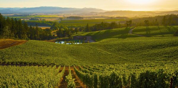 From Florence: PRIVATE Wine Experience in Chianti Classico - Departure Details