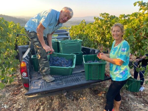 From Florence: PRIVATE Wine Experience in Chianti Classico - Tour Logistics