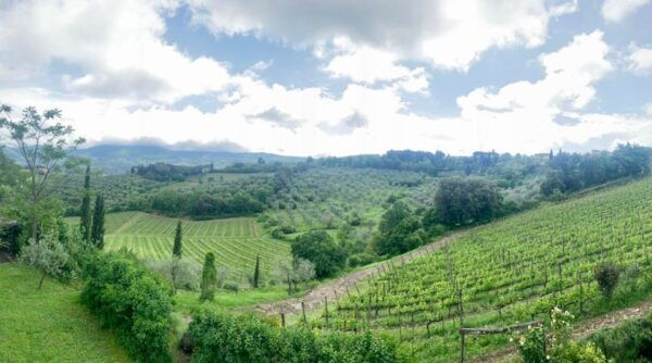 From Florence: PRIVATE Wine Experience in Chianti Classico - Frequently Asked Questions