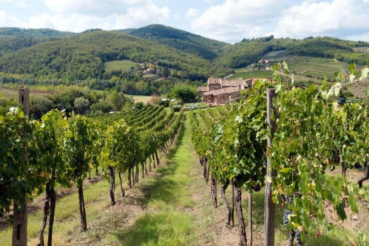 From Florence: Private Wine Tasting Tour in Chianti - Tour Details
