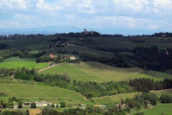 From Florence: Private Wine Tasting Tour in Chianti - Customer Reviews