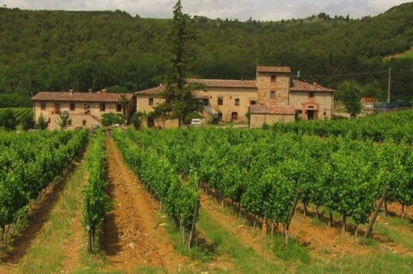 From Florence: Private Wine Tasting Tour in Chianti - Additional Note