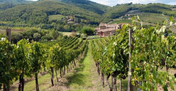 From Florence: Private Wine Tasting Tour in Chianti - Frequently Asked Questions