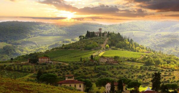 From Florence: Private Wine Tour With Dinner on an Estate - The Sum Up