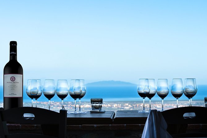 From Florence PRIVATE:Bolgheri Wine Tour,Tasting Among the Tuscany Coastal Hills - Tour Overview