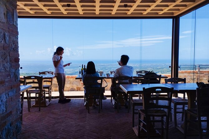 From Florence PRIVATE:Bolgheri Wine Tour,Tasting Among the Tuscany Coastal Hills - Wine Tasting Experience