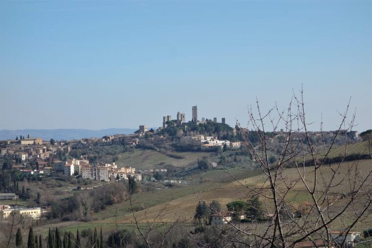 From Florence: San Gimignano & Vernaccia Wine Tour - Practical Details: What You Need to Know