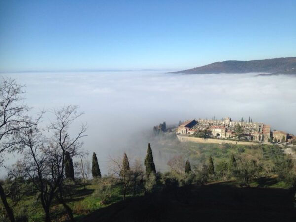 From Florence: Siena, Cortona, Montepulciano & Val DOrcia - The Sum Up