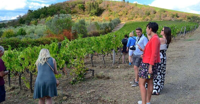 From Florence: Small-Group Chianti Wine Tour - An Authentic Taste of Tuscany in a Day