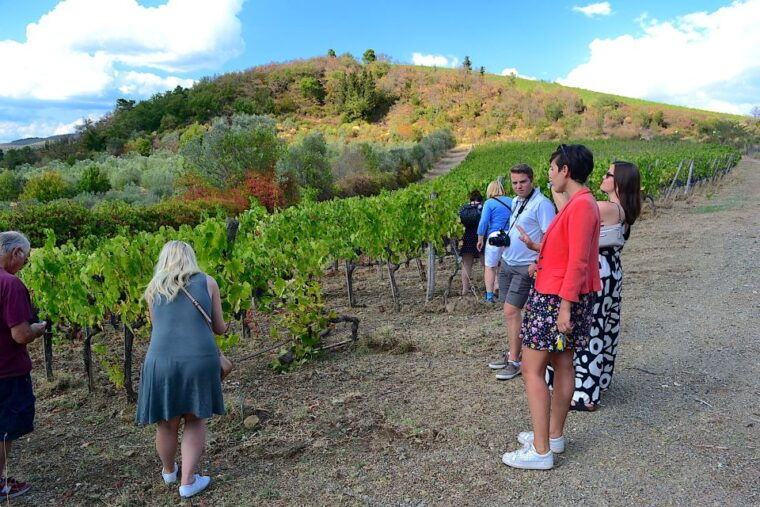 From Florence: Small-Group Chianti Wine Tour - What Makes This Tour Stand Out?