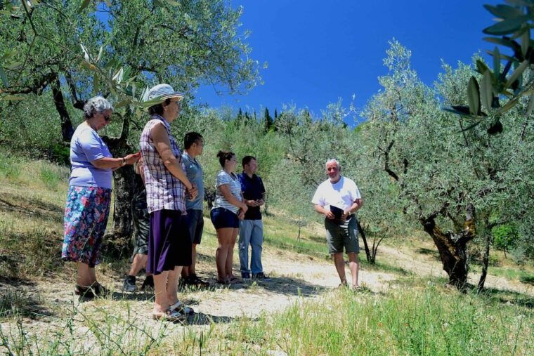 From Florence: Small-Group Chianti Wine Tour - Practical Details and Why They Matter