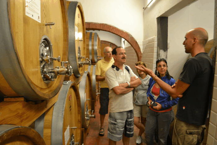 From Florence: Small-Group Chianti Wine Tour - Final Thoughts