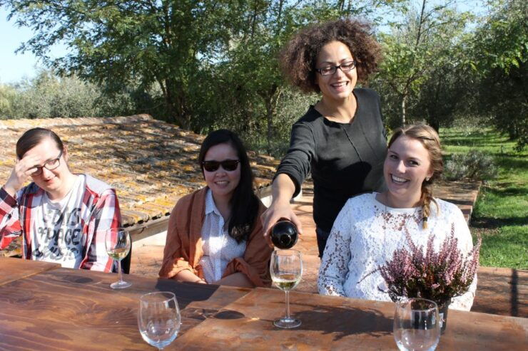 From Florence: Small-Group Half-Day Chianti Wine Tour - Tour Overview