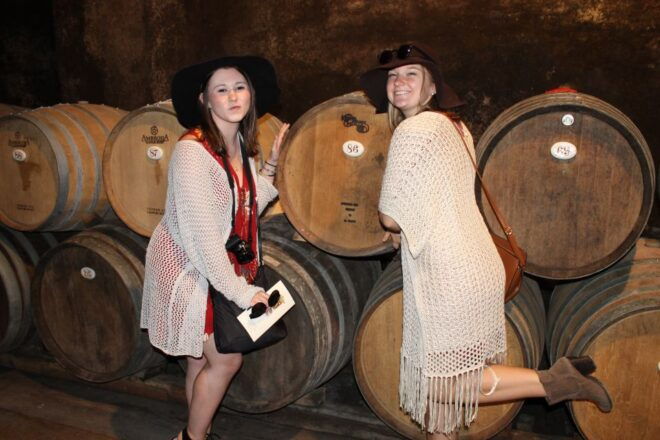 From Florence: Small-Group Half-Day Chianti Wine Tour - Tour Highlights