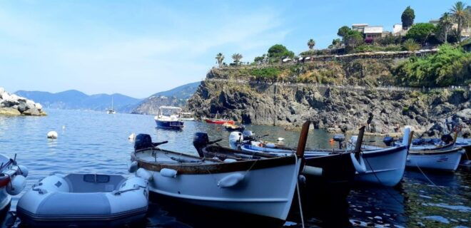 From Florence: Small-group to Cinque Terre and Pisa Day Tour - Customer Reviews
