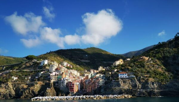 From Florence: Small-group to Cinque Terre and Pisa Day Tour - Booking and Contact Details