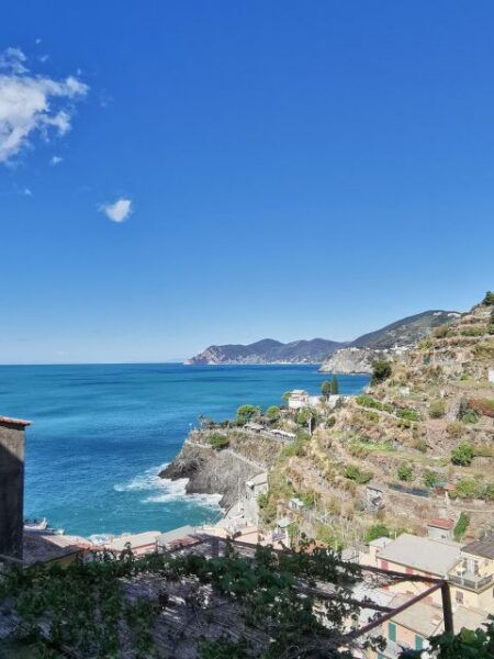 From Florence: Small-group to Cinque Terre and Pisa Day Tour - The Sum Up