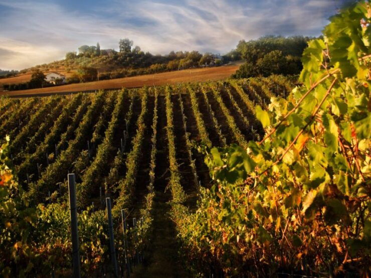 From Florence to Rome via Siena & Pienza Transfer With Lunch - Itinerary