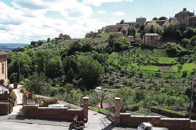 From Florence to Siena - San Gimignano & Pisa by Private Minivan - Customer Reviews