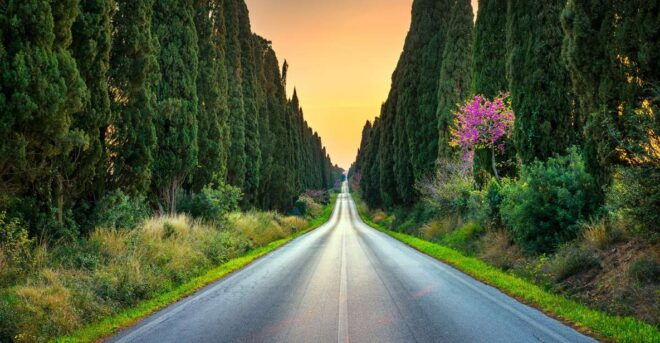 From Florence: Trip to San Gimignano, Volterra and Bolgheri - Included Services