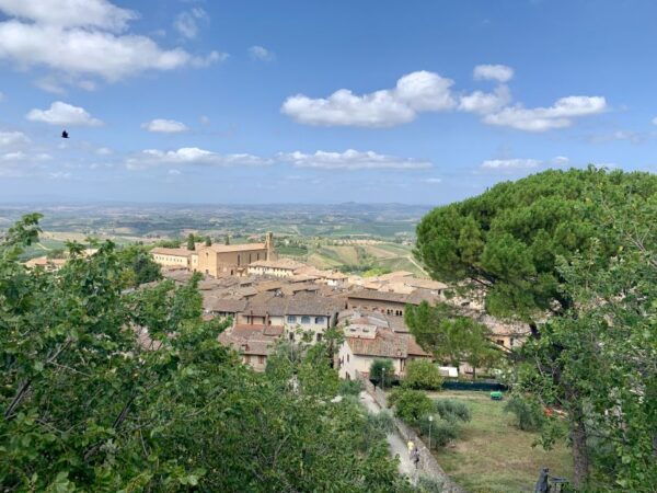 From Florence: Trip to San Gimignano, Volterra and Bolgheri - Additional Information