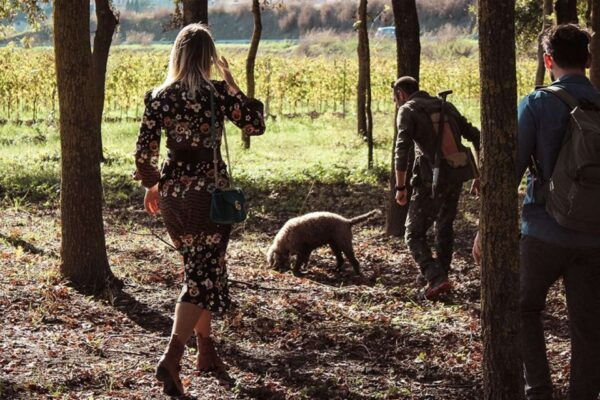 From Florence: Truffle Hunting With Lunch & Transportation - Pricing Information
