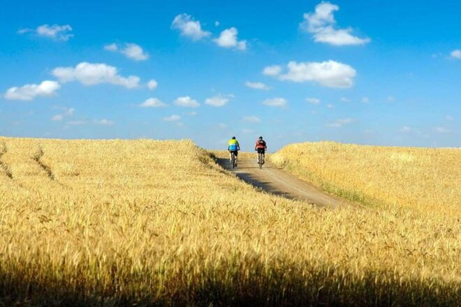 From Florence: Tuscany by E-Bike With Lunch and Wine Tasting - Important Information