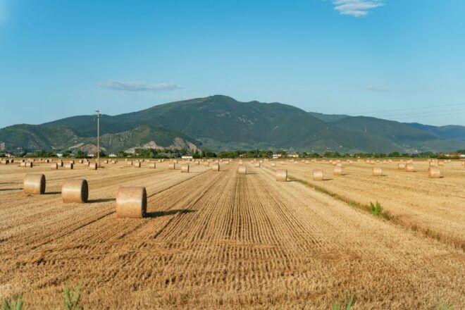 From Florence: Tuscany Day Trip With Lunch at Chianti Winery - Exploring Sienas Medieval Charm