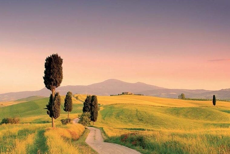 From Florence: Tuscany Hills Wine Tour - FAQs