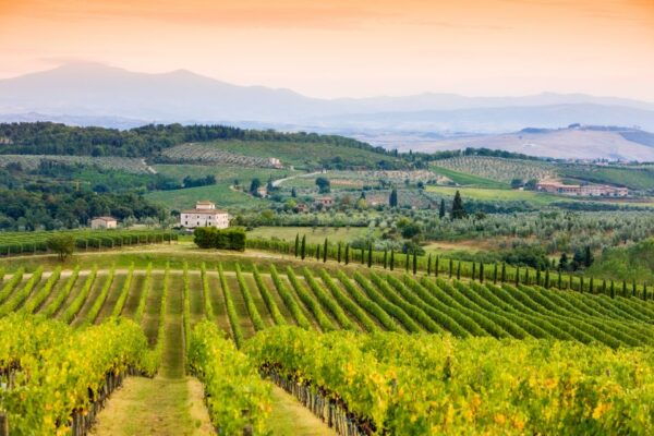 From Florence: Tuscany Wine & Food Tour With Guide - The Sum Up