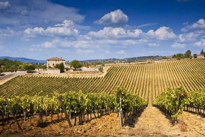 From Florence: Typical Chianti Villages and Wine Roads by Minivan - Pricing and Booking