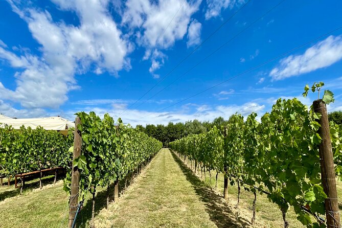 From Florence: Typical Chianti Villages and Wine Roads by Minivan - Overview of the Day Trip