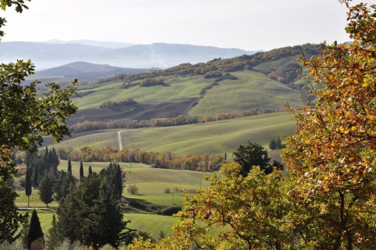 From Florence: Val D'Orcia Full-Day Wine Tasting Tour - Itinerary Details