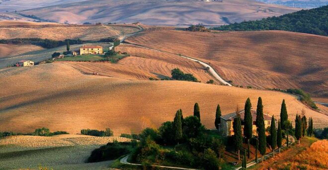 From Florence: Val D'Orcia Full-Day Wine Tasting Tour - Inclusions