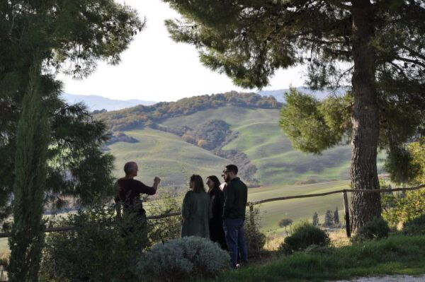 From Florence: Val D'Orcia Full-Day Wine Tasting Tour - Additional Details