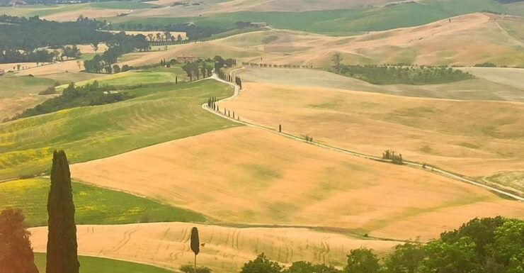 From Florence: Val D'orcia Region Private Wine Tasting Tour - Good To Know