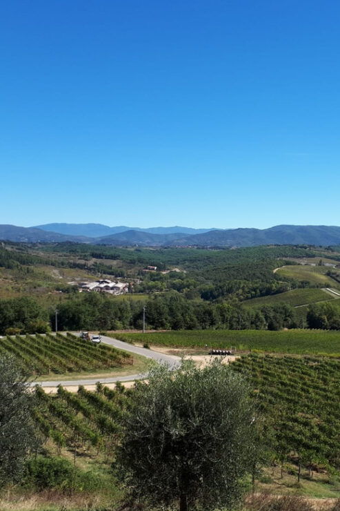 From Florence: Vintage Fiat 500 Chianti & Tuscany Wine Tour - Good To Know