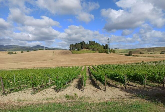 From Florence: Visit Pisa and Siena With Tasting in Chianti - Highlights