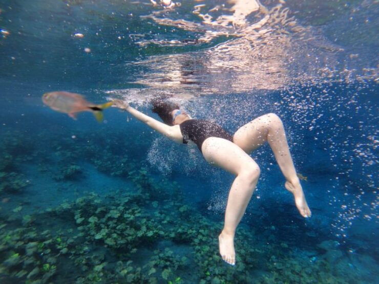 From Flores: Blue Crater Private Day Tour - Tour Highlights