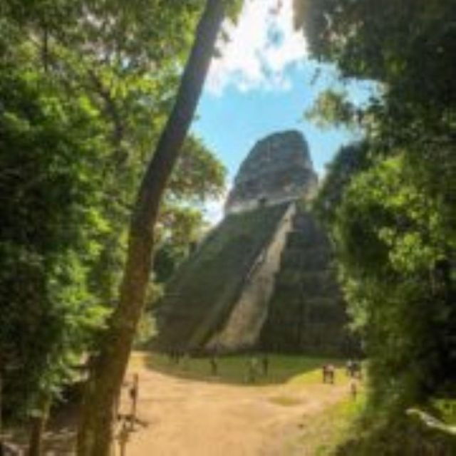 From Flores: Tikal and Yaxhá Day Tour - Activity Details