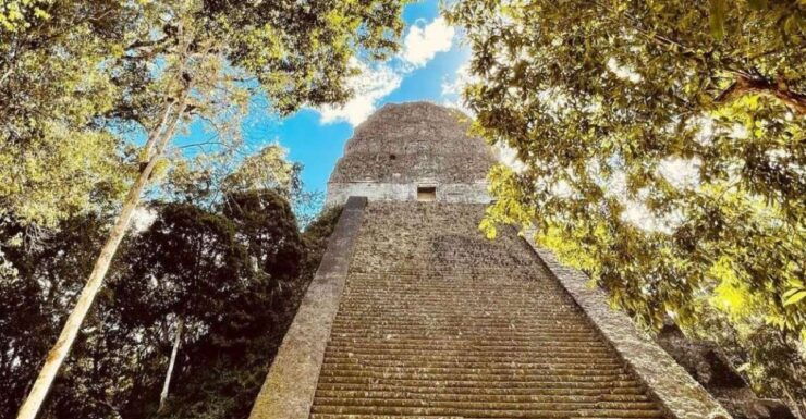 From Flores: Tikal National Park Private Day Trip With Lunch - Booking and Logistics