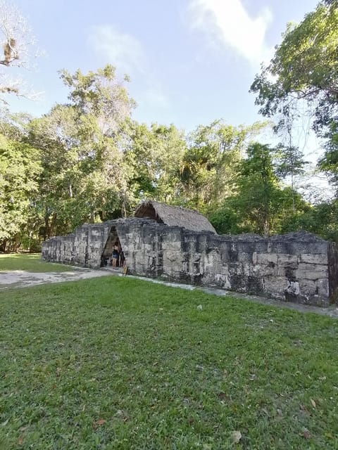 From Flores: Tikal Plus Explore Yaxha at Sunset 1-Day Tour - Highlights of the Tour
