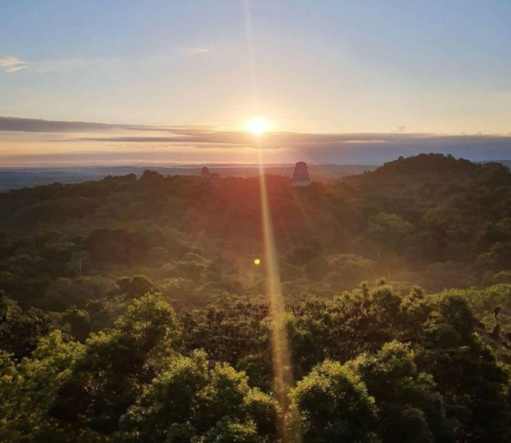 From Flores: Tikal Sunrise Extended Private Tour - Tour Experience