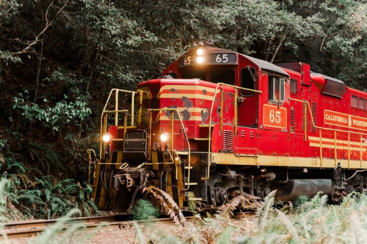 From Fort Bragg: Redwoods Train Ride and Nightclub Ticket - Ticket Details