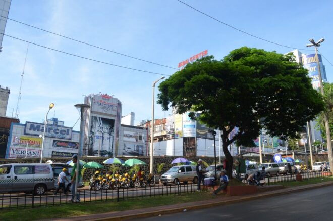 From Foz Do Iguaçu: Ciudad Del Este Shopping Tour - Tour Description