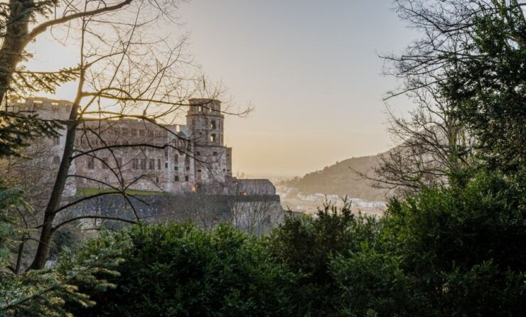 From Frankfurt: Day Tour to Heidelberg With Local Guide - Booking and Logistics