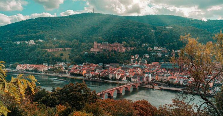 From Frankfurt: Day Tour to Heidelberg With Local Guide - Experience