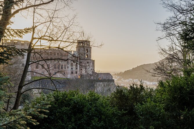From Frankfurt: Heidelberg Castle and City Private Day Tour - Tour Duration and Meeting Point