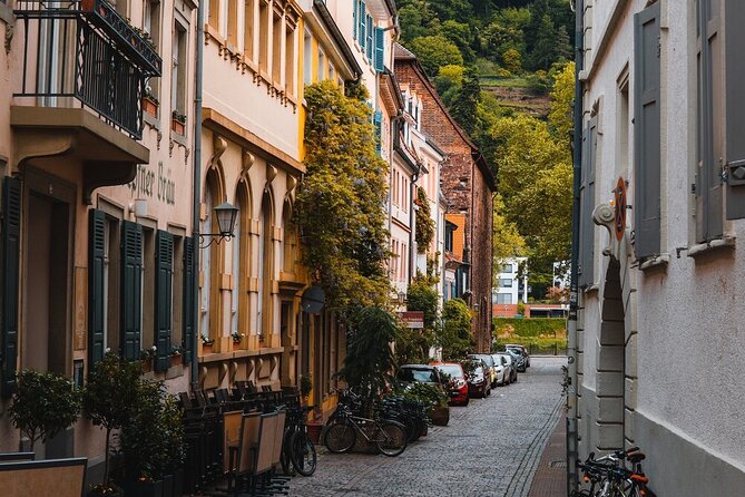 From Frankfurt: Heidelberg Castle and City Private Day Tour - Positive Reviews From Recent Tour Participants